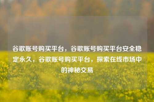 谷歌账号购买平台，谷歌账号购买平台安全稳定永久，谷歌账号购买平台，探索在线市场中的神秘交易
