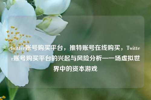 twitter账号购买平台，推特账号在线购买，Twitter账号购买平台的兴起与风险分析—一场虚拟世界中的资本游戏