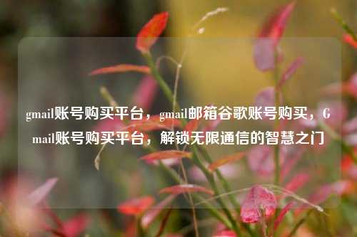 gmail账号购买平台，gmail邮箱谷歌账号购买，Gmail账号购买平台，解锁无限通信的智慧之门  第1张