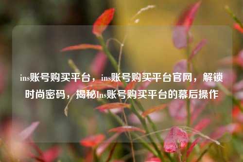 ins账号购买平台，ins账号购买平台官网，解锁时尚密码，揭秘Ins账号购买平台的幕后操作