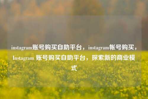 instagram账号购买自助平台，instagram帐号购买，Instagram 账号购买自助平台，探索新的商业模式