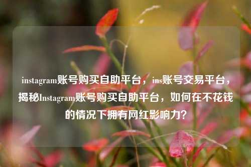 instagram账号购买自助平台，ins账号交易平台，揭秘Instagram账号购买自助平台，如何在不花钱的情况下拥有网红影响力？