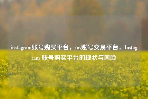 instagram账号购买平台，ins账号交易平台，Instagram 账号购买平台的现状与风险