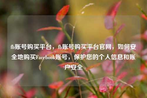 fb账号购买平台，fb账号购买平台官网，如何安全地购买Facebook账号，保护您的个人信息和账户安全