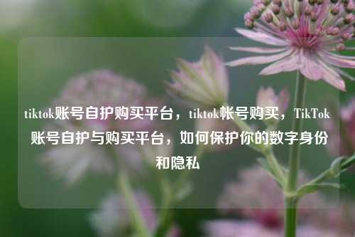 tiktok账号自护购买平台，tiktok帐号购买，TikTok 账号自护与购买平台，如何保护你的数字身份和隐私