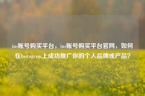 ins账号购买平台	，ins账号购买平台官网，如何在Instagram上成功推广你的个人品牌或产品？  第1张