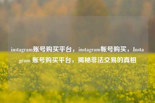 instagram账号购买平台，instagram帐号购买，Instagram 账号购买平台，揭秘非法交易的真相