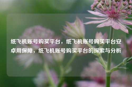 纸飞机账号购买平台，纸飞机账号购买平台安卓用保障，纸飞机账号购买平台的探索与分析