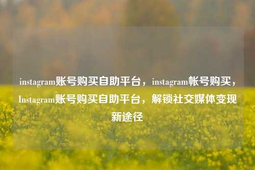 instagram账号购买自助平台，instagram帐号购买，Instagram账号购买自助平台，解锁社交媒体变现新途径