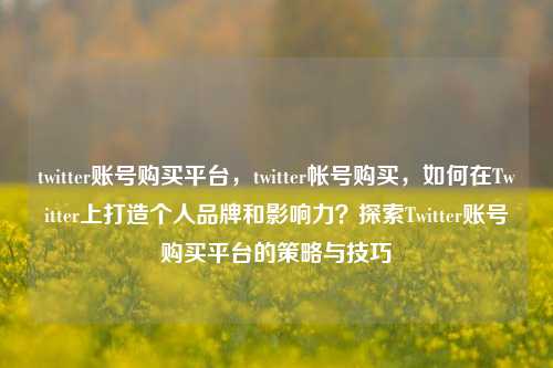 twitter账号购买平台，twitter帐号购买，如何在Twitter上打造个人品牌和影响力？探索Twitter账号购买平台的策略与技巧