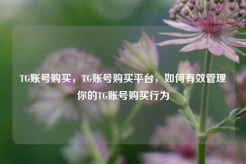 TG账号购买，TG账号购买平台，如何有效管理你的TG账号购买行为