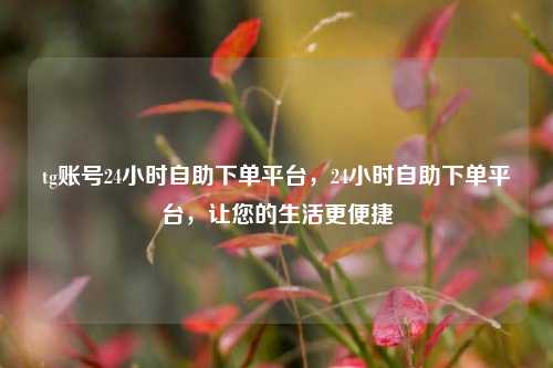 tg账号24小时自助下单平台，24小时自助下单平台，让您的生活更便捷
