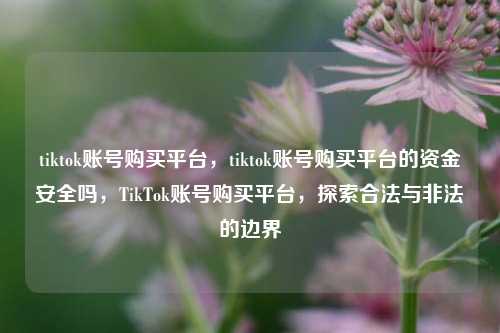 tiktok账号购买平台，tiktok账号购买平台的资金安全吗，TikTok账号购买平台，探索合法与非法的边界