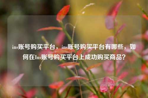 ins账号购买平台，ins账号购买平台有哪些，如何在Ins账号购买平台上成功购买商品？