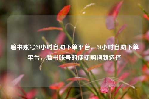 脸书账号24小时自助下单平台，24小时自助下单平台，脸书账号的便捷购物新选择