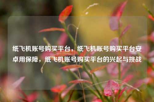 纸飞机账号购买平台，纸飞机账号购买平台安卓用保障，纸飞机账号购买平台的兴起与挑战