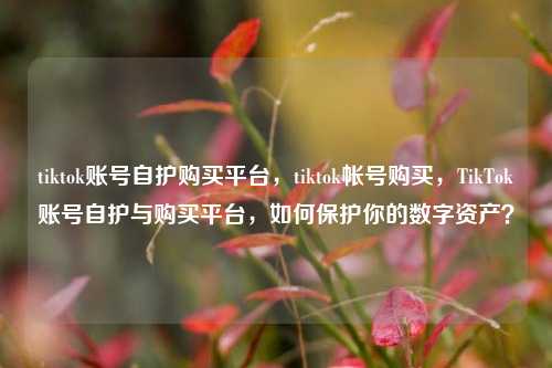 tiktok账号自护购买平台，tiktok帐号购买，TikTok账号自护与购买平台，如何保护你的数字资产？