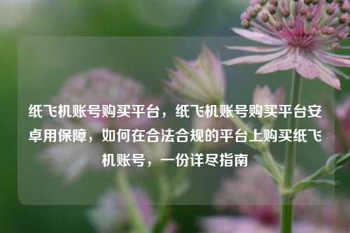 纸飞机账号购买平台，纸飞机账号购买平台安卓用保障，如何在合法合规的平台上购买纸飞机账号，一份详尽指南