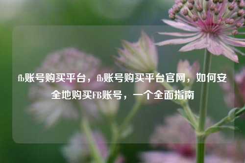 fb账号购买平台，fb账号购买平台官网，如何安全地购买FB账号，一个全面指南