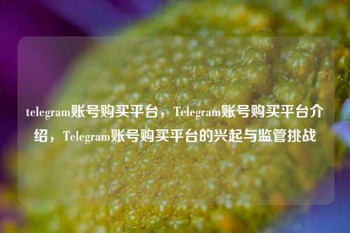 telegram账号购买平台，Telegram账号购买平台介绍，Telegram账号购买平台的兴起与监管挑战