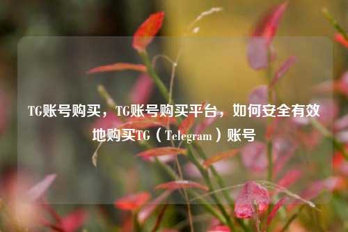 TG账号购买，TG账号购买平台，如何安全有效地购买TG（Telegram）账号