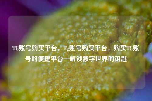 TG账号购买平台，Tg账号购买平台，购买TG账号的便捷平台—解锁数字世界的钥匙