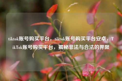 tiktok账号购买平台，tiktok账号购买平台安卓，TikTok账号购买平台，揭秘非法与合法的界限