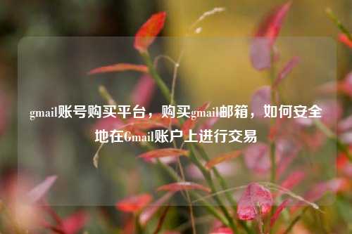 gmail账号购买平台，购买gmail邮箱，如何安全地在Gmail账户上进行交易