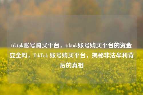 tiktok账号购买平台，tiktok账号购买平台的资金安全吗，TikTok 账号购买平台，揭秘非法牟利背后的真相