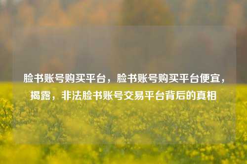 脸书账号购买平台，脸书账号购买平台便宜，揭露，非法脸书账号交易平台背后的真相