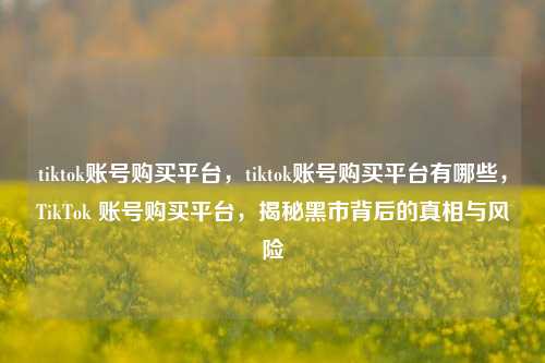 tiktok账号购买平台，tiktok账号购买平台有哪些，TikTok 账号购买平台，揭秘黑市背后的真相与风险