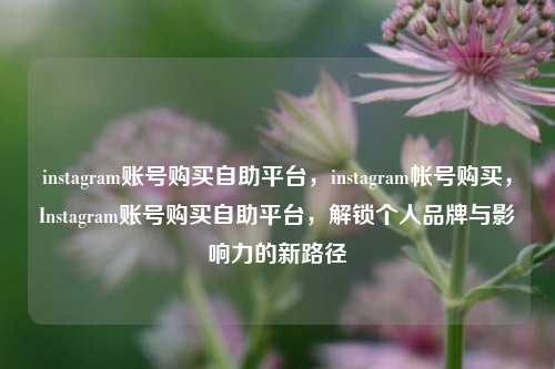 instagram账号购买自助平台，instagram帐号购买，Instagram账号购买自助平台，解锁个人品牌与影响力的新路径