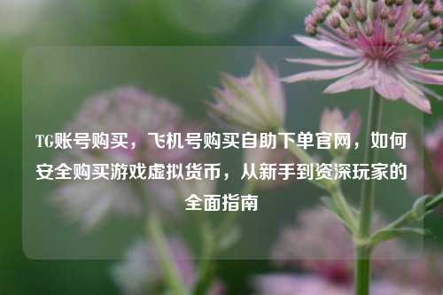 TG账号购买，飞机号购买自助下单官网，如何安全购买游戏虚拟货币，从新手到资深玩家的全面指南