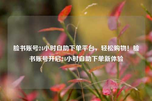 脸书账号24小时自助下单平台，轻松购物！脸书账号开启24小时自助下单新体验