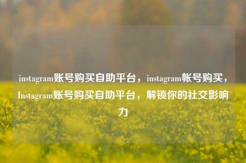 instagram账号购买自助平台，instagram帐号购买，Instagram账号购买自助平台，解锁你的社交影响力