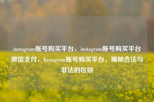 instagram账号购买平台，instagram账号购买平台微信支付，Instagram账号购买平台，揭秘合法与非法的区别