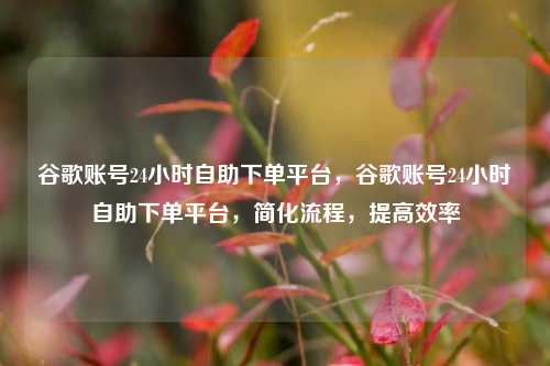 谷歌账号24小时自助下单平台，谷歌账号24小时自助下单平台，简化流程，提高效率