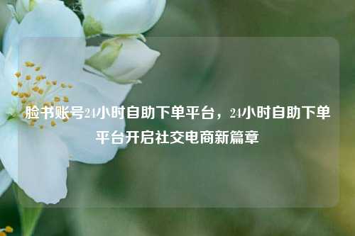 脸书账号24小时自助下单平台，24小时自助下单平台开启社交电商新篇章