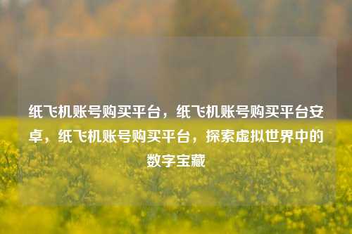 纸飞机账号购买平台，纸飞机账号购买平台安卓，纸飞机账号购买平台，探索虚拟世界中的数字宝藏