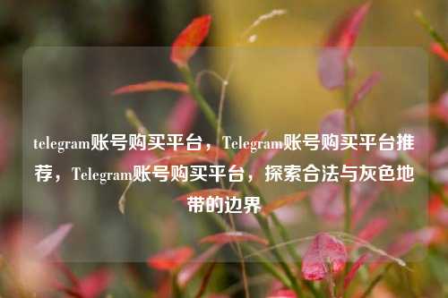 telegram账号购买平台，Telegram账号购买平台推荐，Telegram账号购买平台，探索合法与灰色地带的边界