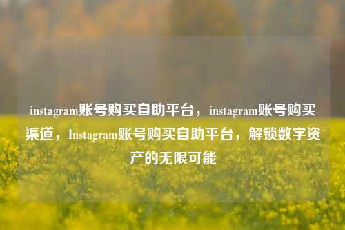 instagram账号购买自助平台，instagram账号购买渠道，Instagram账号购买自助平台，解锁数字资产的无限可能