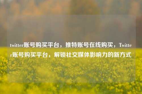 twitter账号购买平台，推特账号在线购买，Twitter账号购买平台，解锁社交媒体影响力的新方式