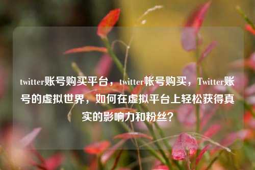 twitter账号购买平台，twitter帐号购买，Twitter账号的虚拟世界，如何在虚拟平台上轻松获得真实的影响力和粉丝？