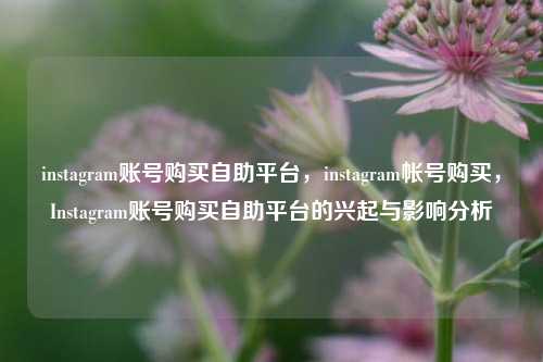 instagram账号购买自助平台，instagram帐号购买，Instagram账号购买自助平台的兴起与影响分析