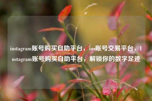 instagram账号购买自助平台，ins账号交易平台，Instagram账号购买自助平台，解锁你的数字足迹