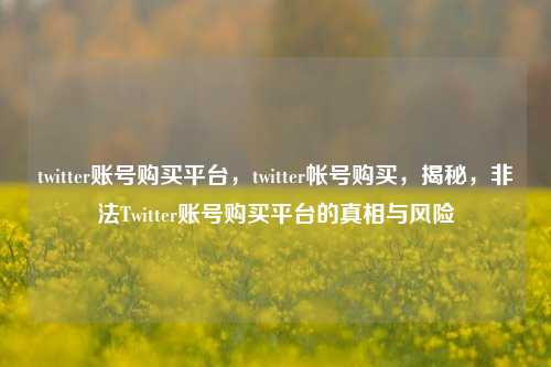 twitter账号购买平台，twitter帐号购买，揭秘，非法Twitter账号购买平台的真相与风险