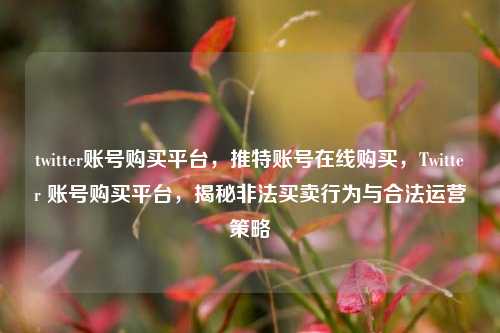 twitter账号购买平台	，推特账号在线购买，Twitter 账号购买平台，揭秘非法买卖行为与合法运营策略  第1张