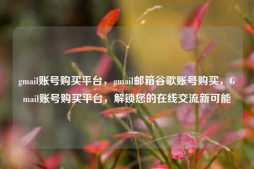 gmail账号购买平台，gmail邮箱谷歌账号购买，Gmail账号购买平台，解锁您的在线交流新可能