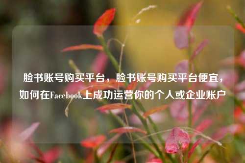 脸书账号购买平台，脸书账号购买平台便宜，如何在Facebook上成功运营你的个人或企业账户