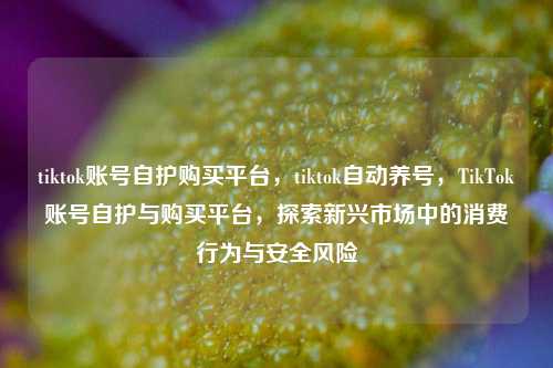 tiktok账号自护购买平台，tiktok自动养号，TikTok账号自护与购买平台，探索新兴市场中的消费行为与安全风险